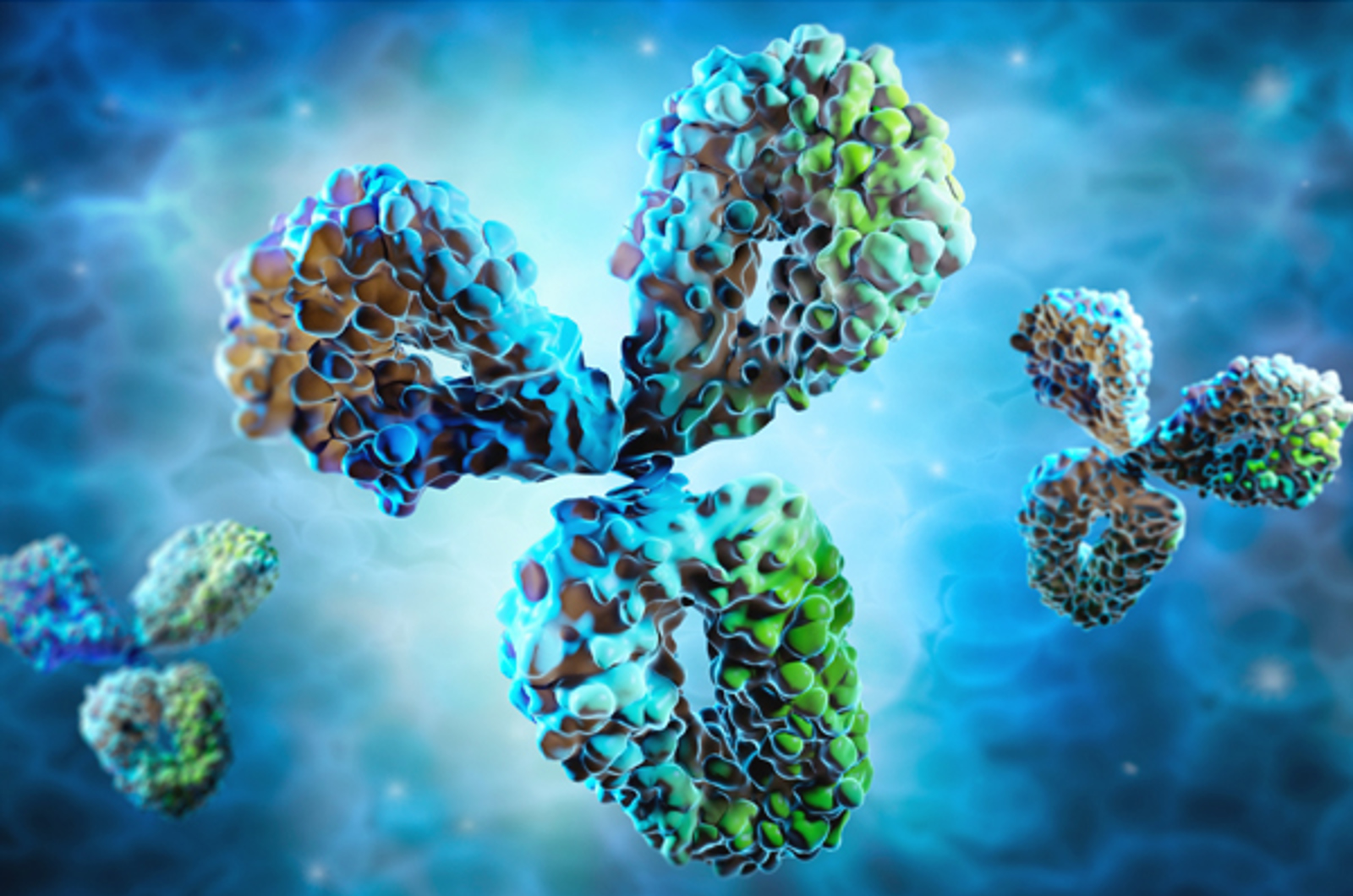The Hidden Cost of Carryover in Protein A Chromatography
