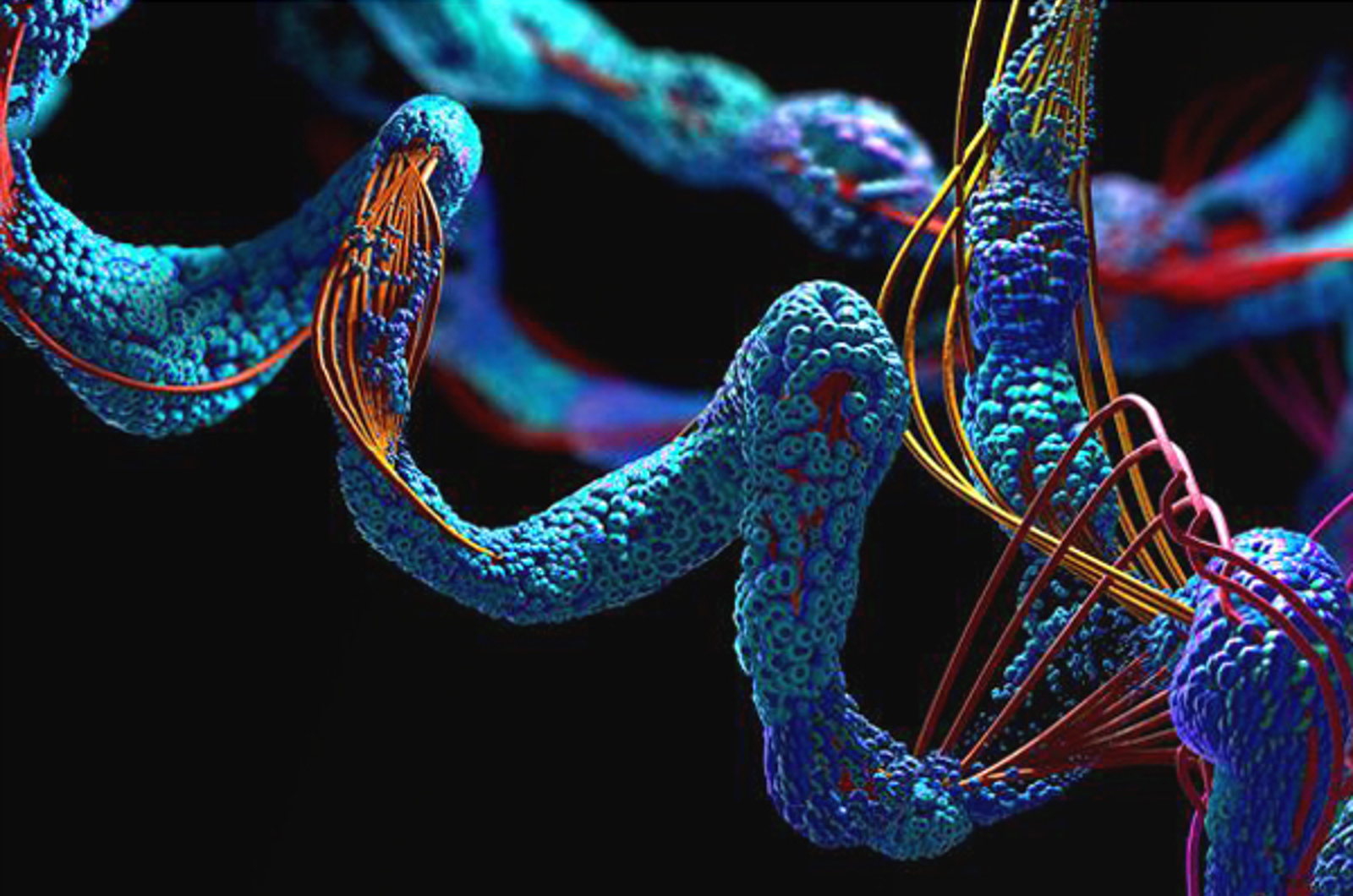 Optimizing LC Separations for Therapeutic Peptide Impurities
