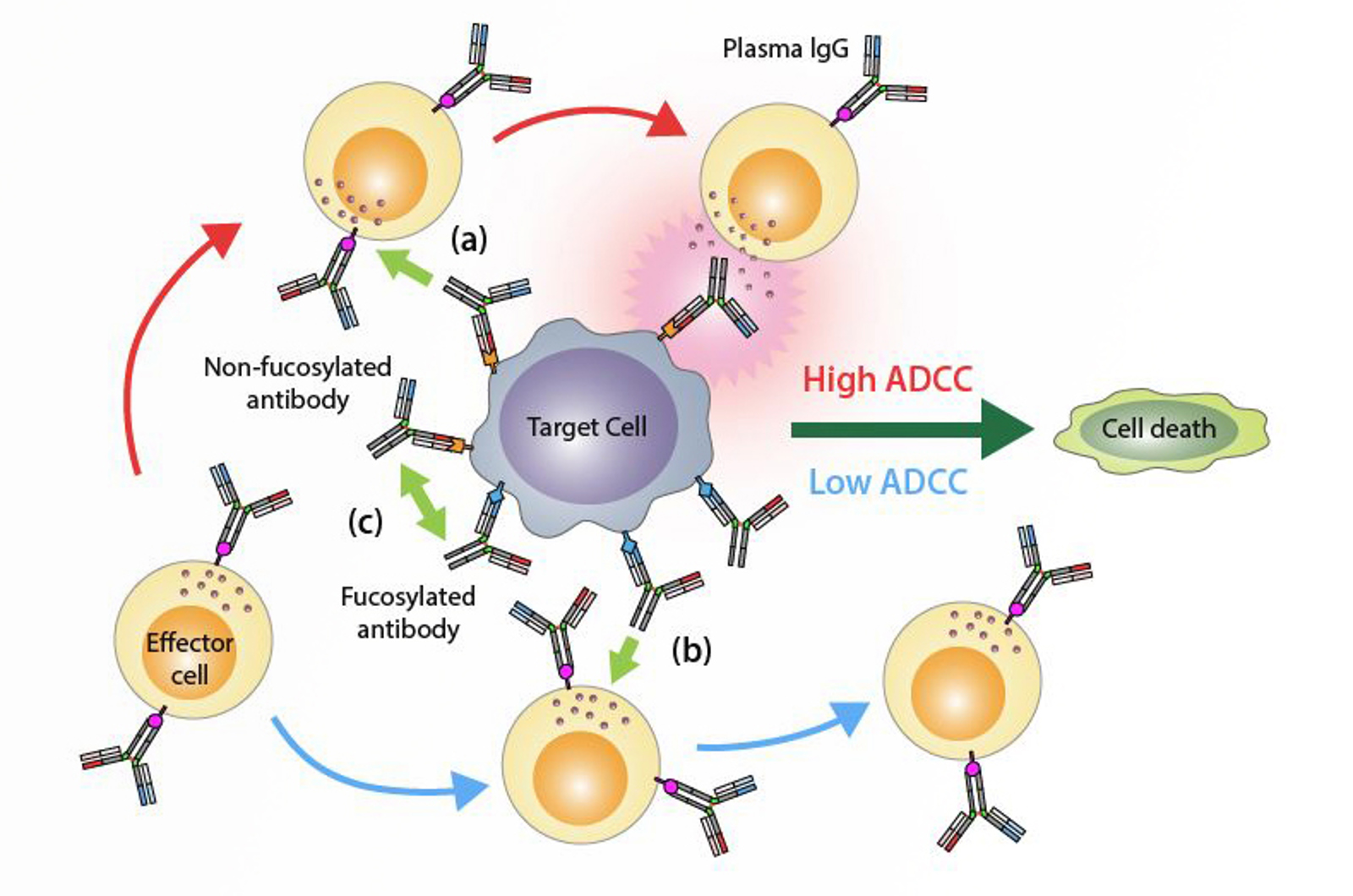 Biopharmaceuticals
