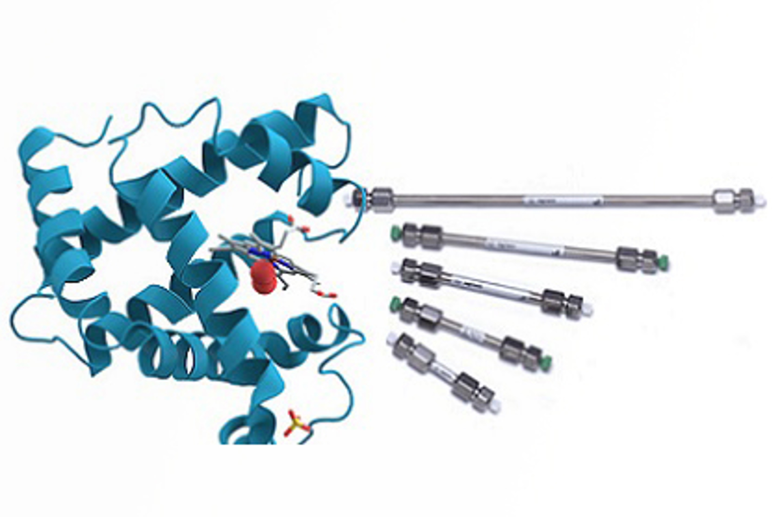 Demystifying Reversed Phase Column Selection for Biomolecule Analysis