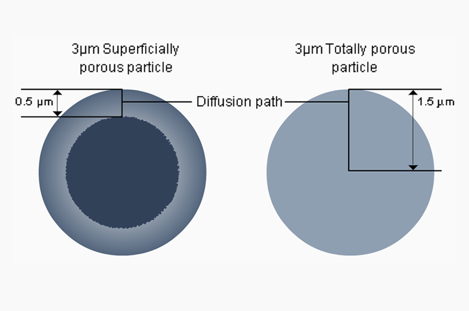 Superficially Porous or Sub 2 µm Stationary HPLC Phases