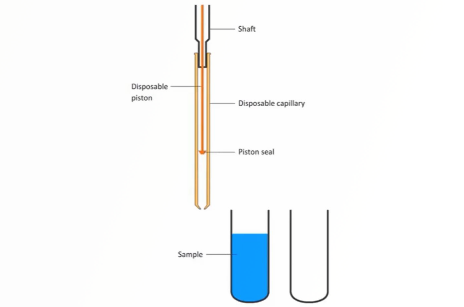 Weighing, Pipetting, and Volumetric Glassware – More than Just Basic Lab Skills