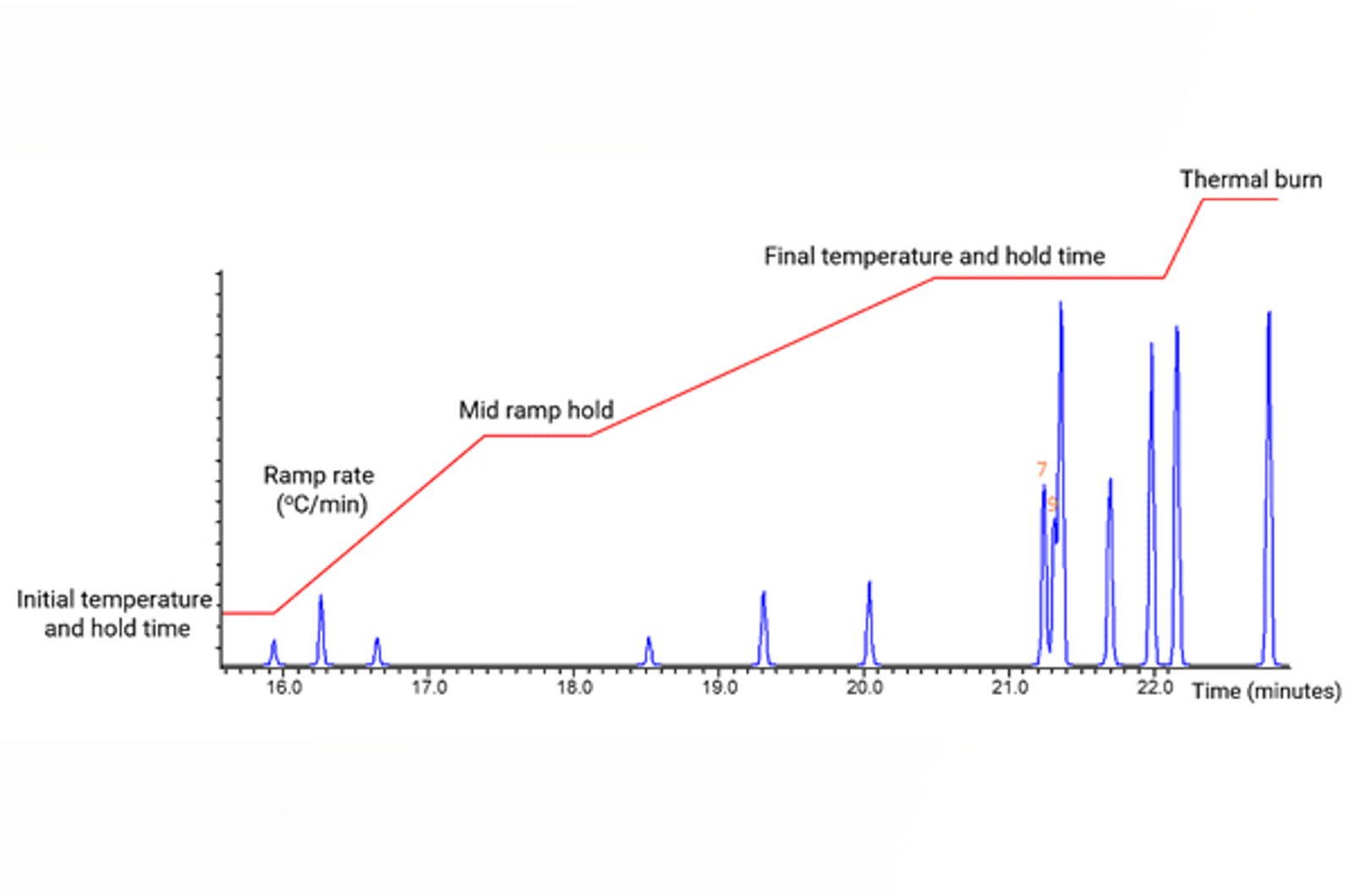 GC Temperature Programming