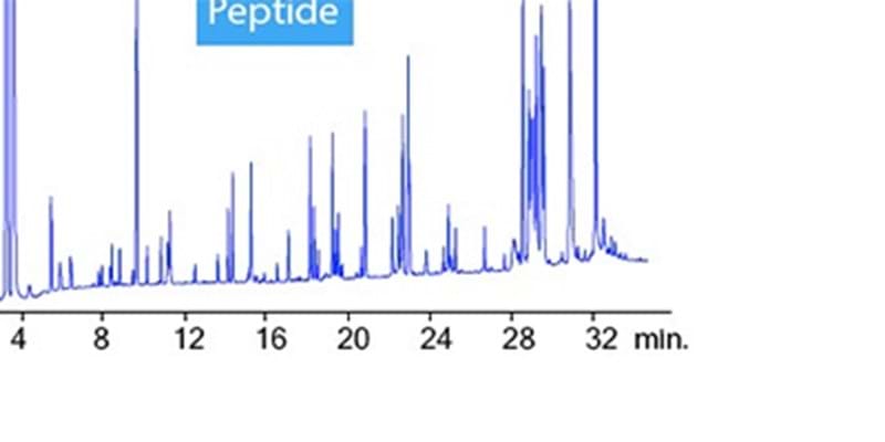 The Fundamentals of HPLC Peptide Analysis