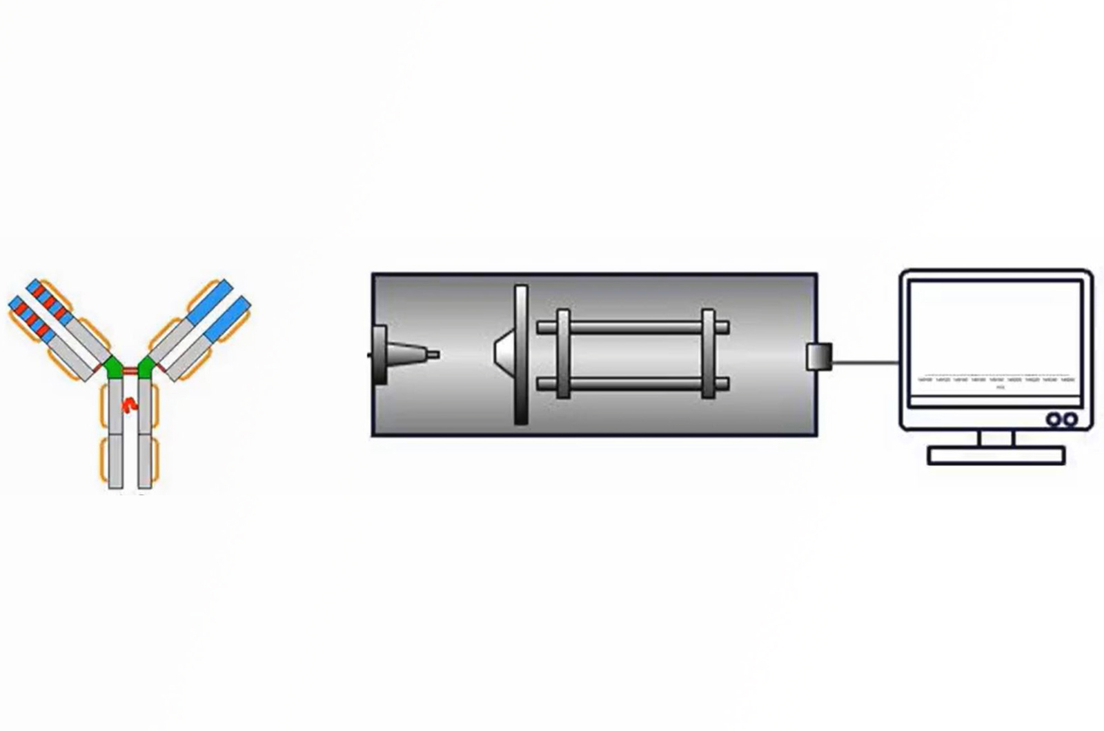 Choosing the Correct Column and Mobile Phase for LC-MS Characterization of Biologics