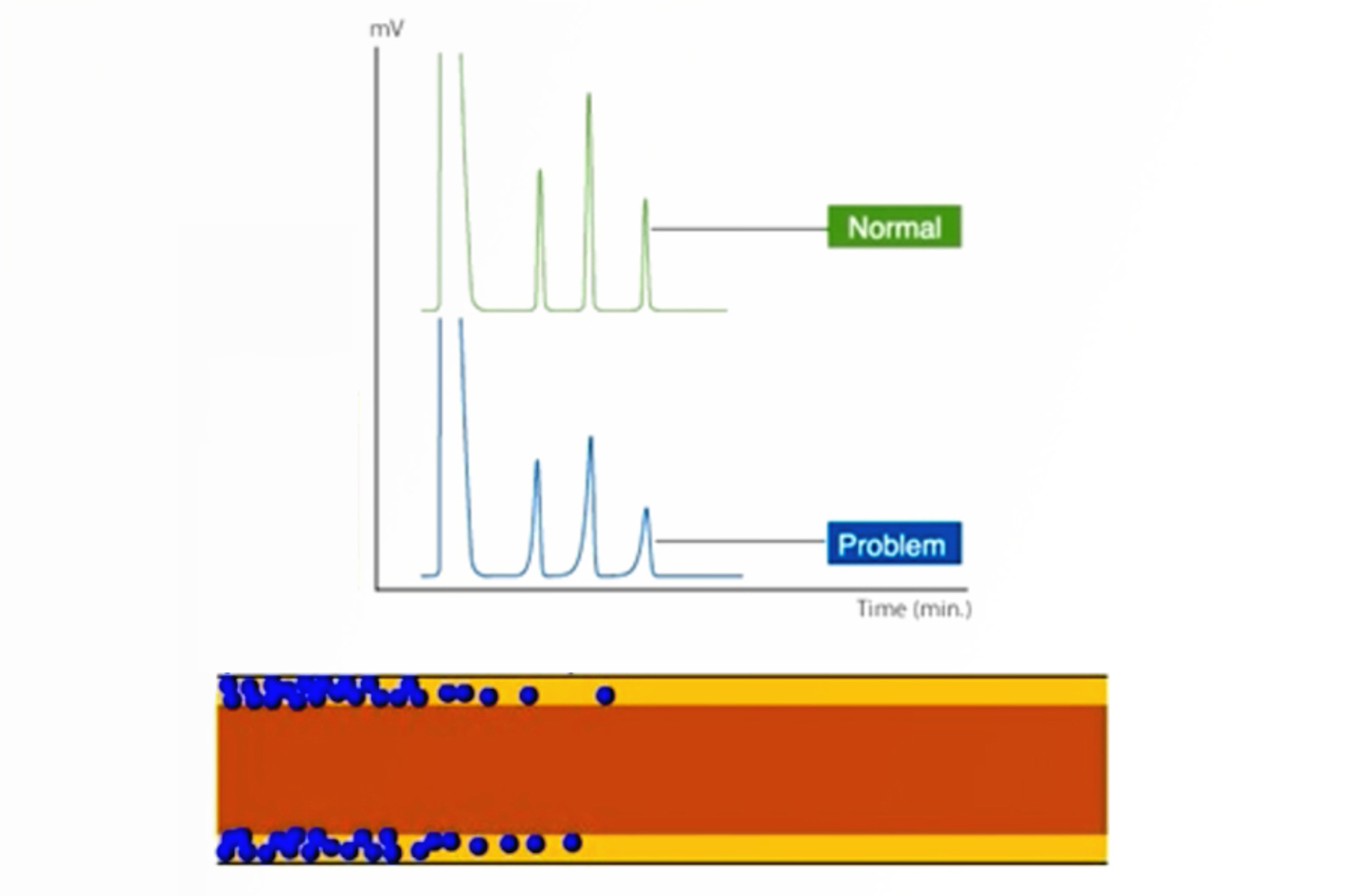 GC Troubleshooting Video Guide to Split, Broad, and Fronting Peaks