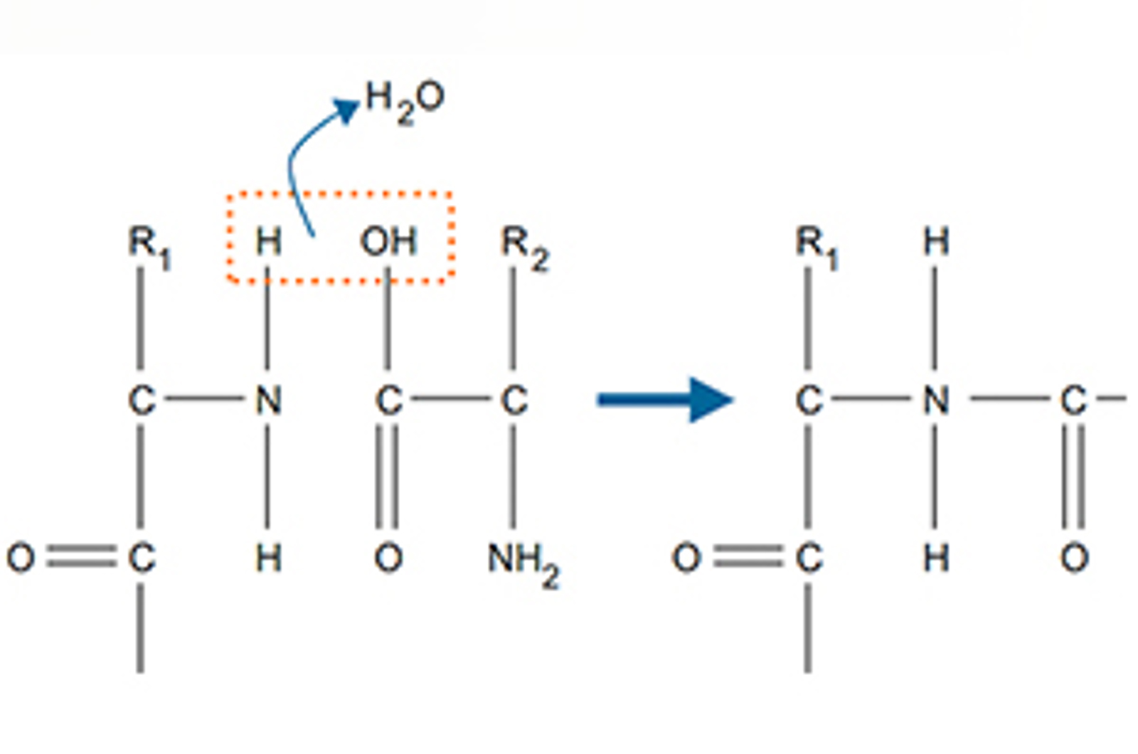 Fundamentals of MS Proteomics Research
