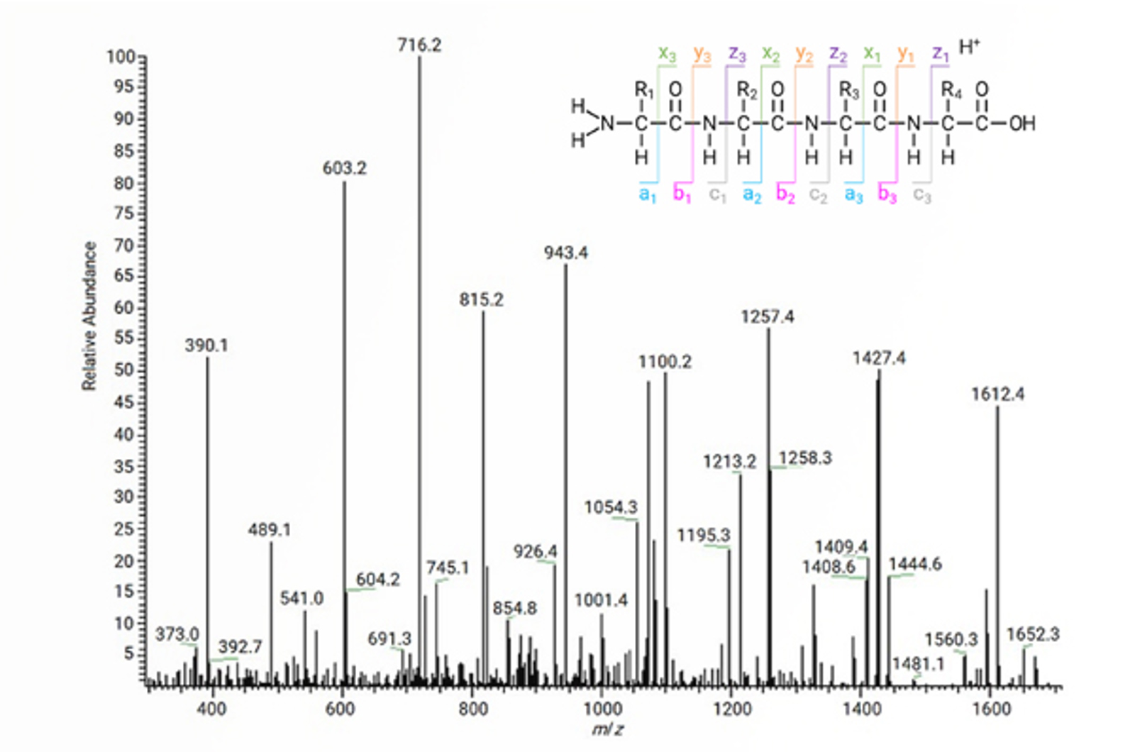 Introduction to Peptide Mapping