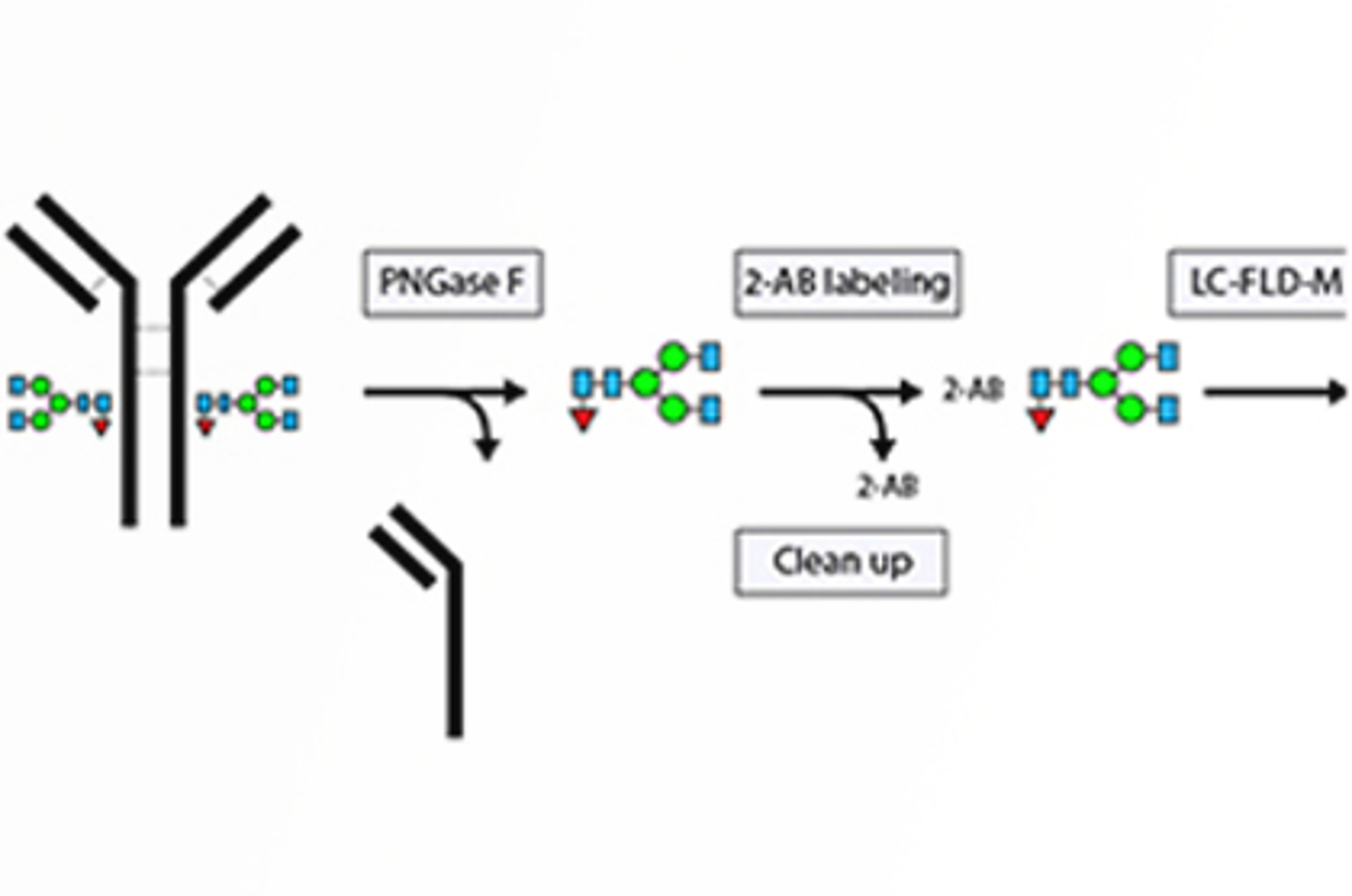 HILIC for Biomolecules