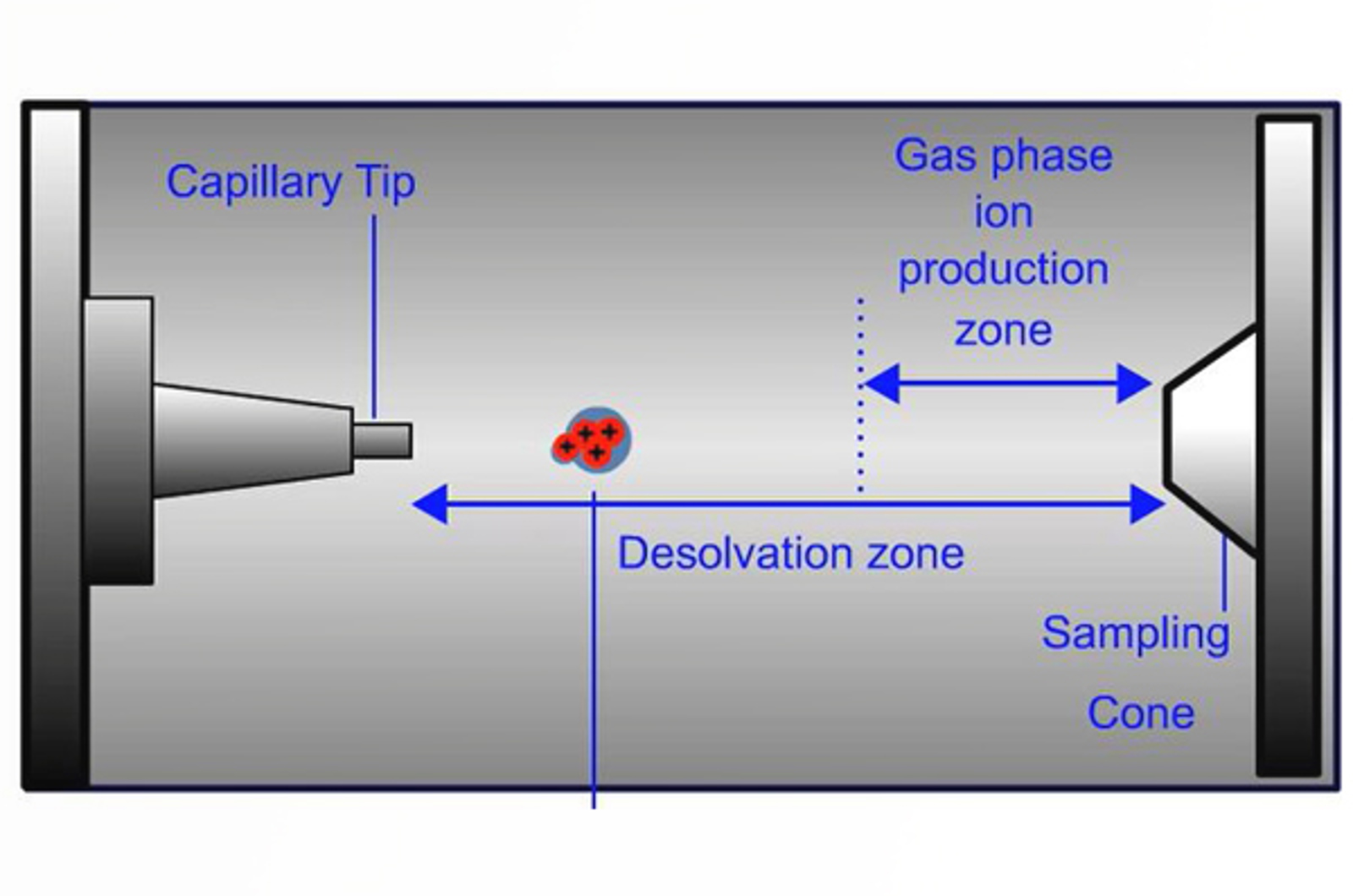 Electrospray Ionization (ESI) Theory