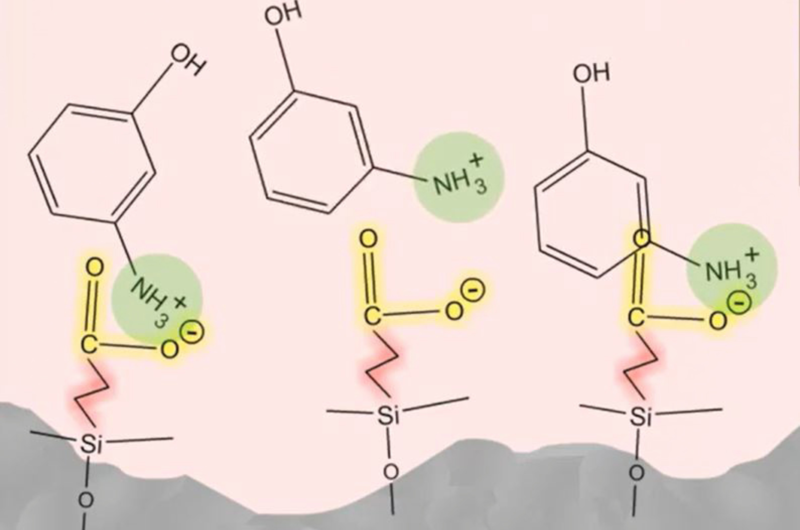 Ion Exchange Techniques