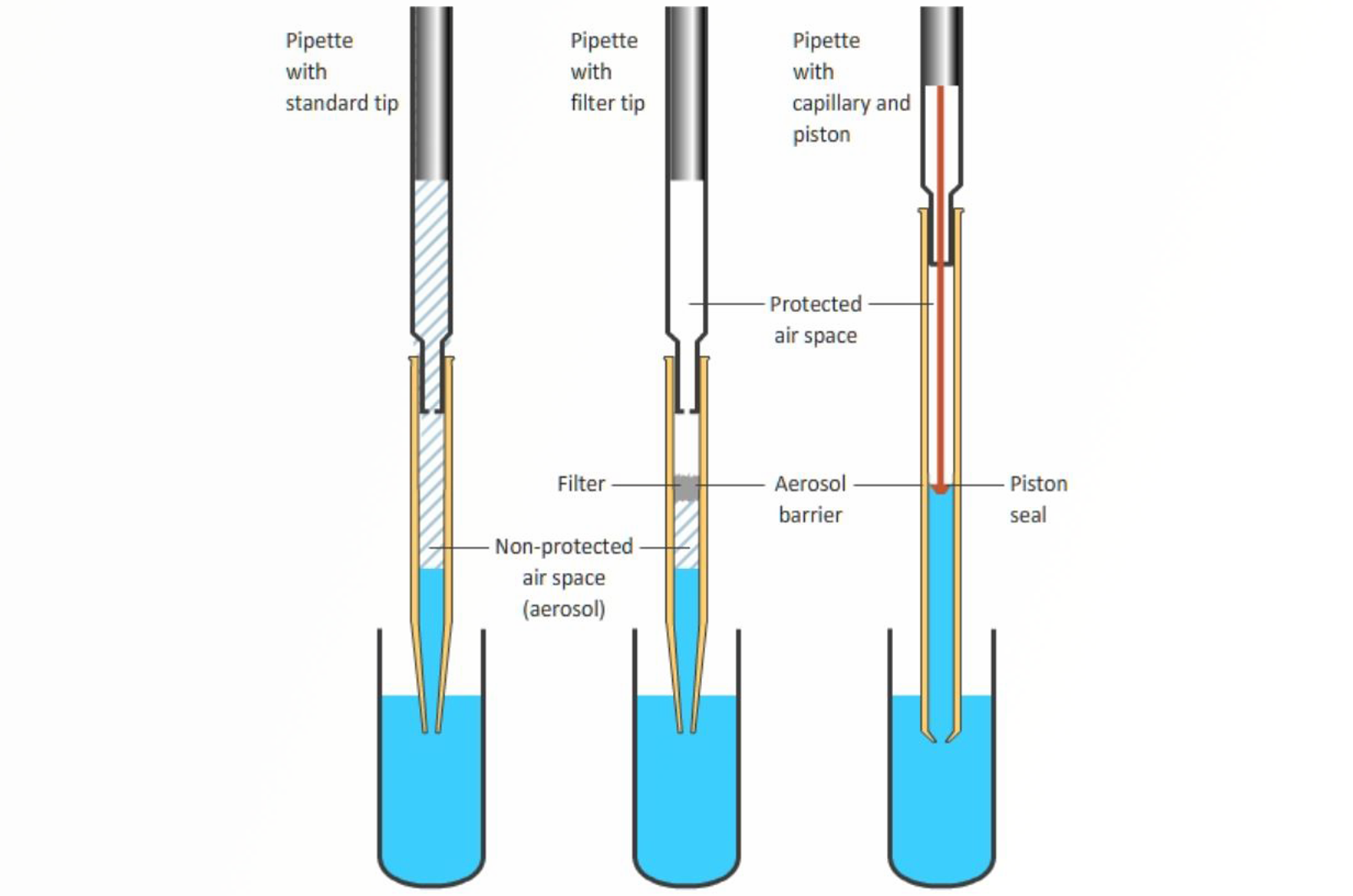 Top 10 Pipetting Mistakes