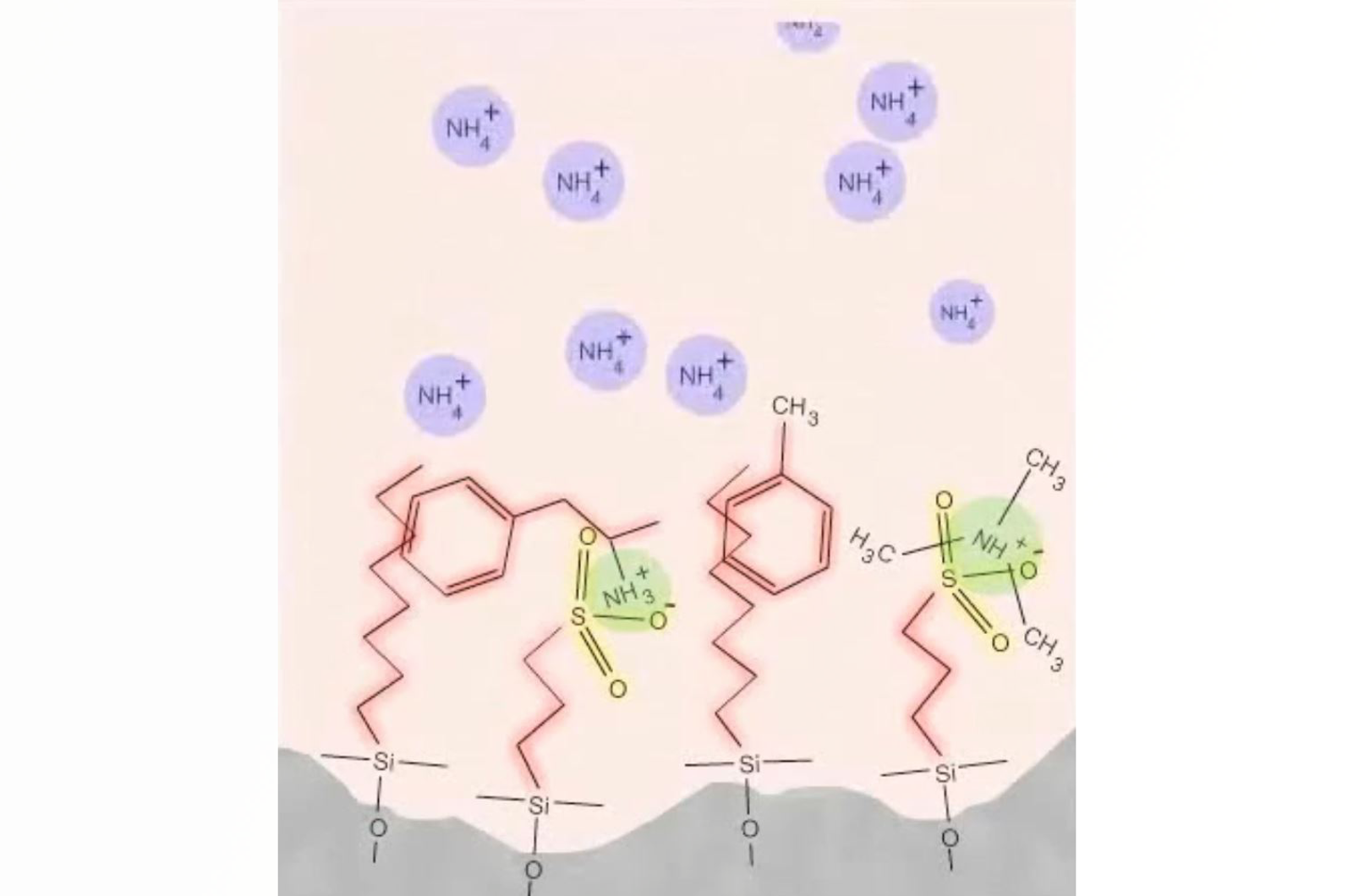 Understanding the Mechanisms of Solid Phase Extraction