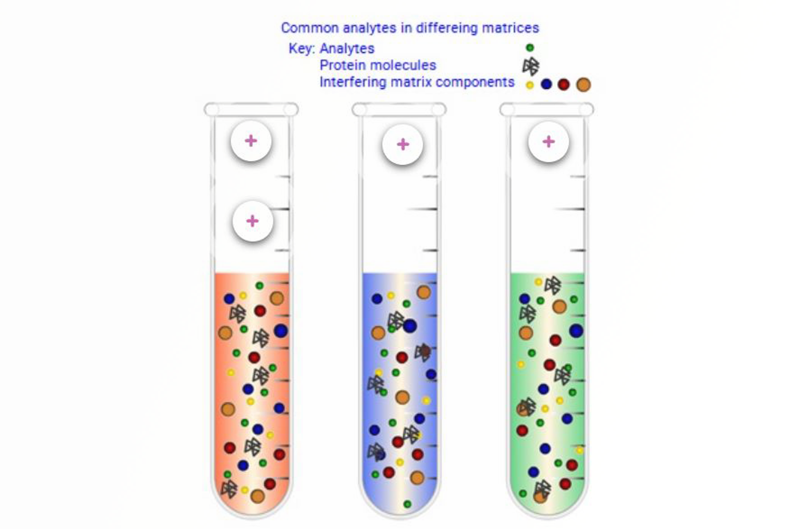 Molecular Properties