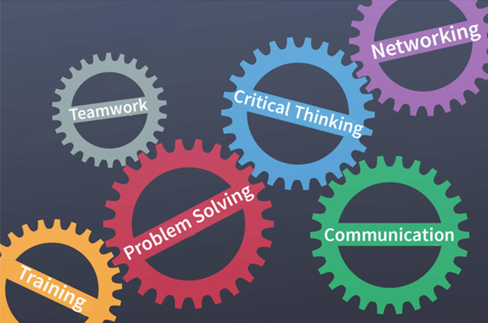 Transferable Skills in the Chemical Industry