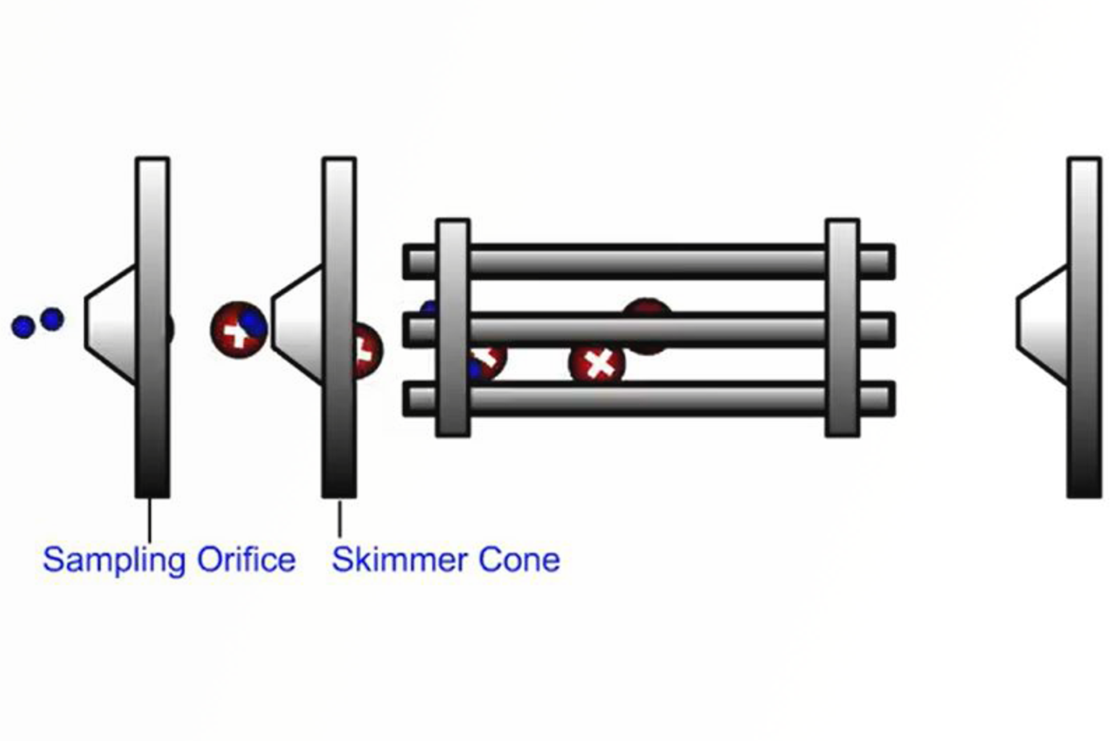 Fundamental LC-MS