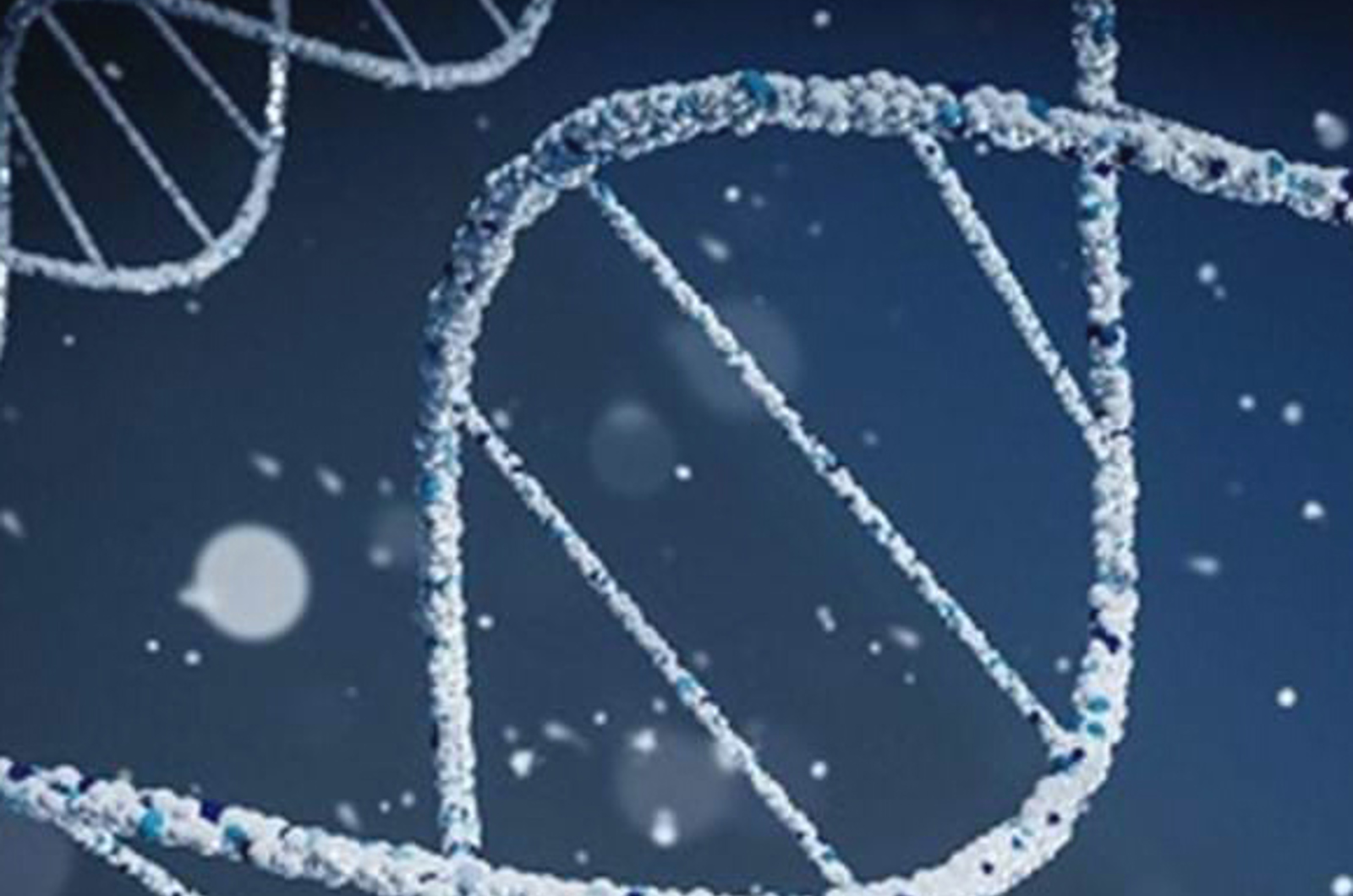 Tips to Optimize Lab Scale Oligonucleotide Purification