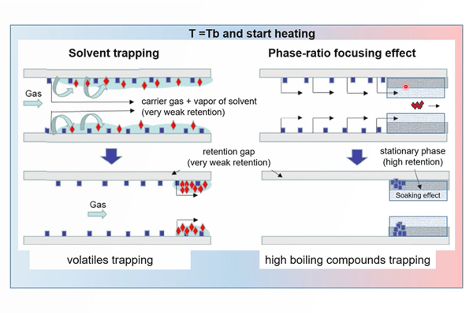 CHROMtalks - Optimization of GC-based Hyphenated Techniques in Food Analysis