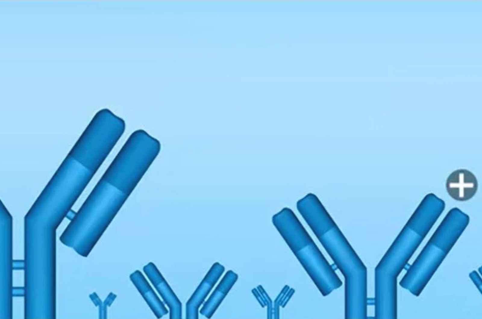 Method Development for Ion Exchange Using Dynamic Buffer Generation