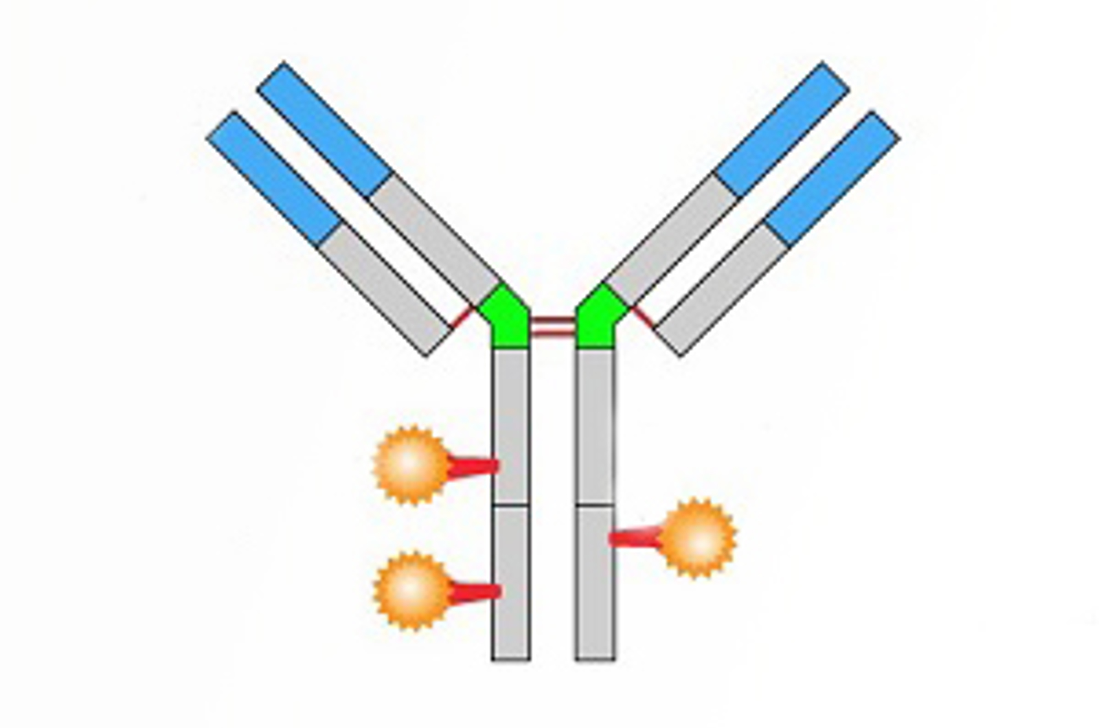Analysis of Next Generation Protein Biopharmaceuticals