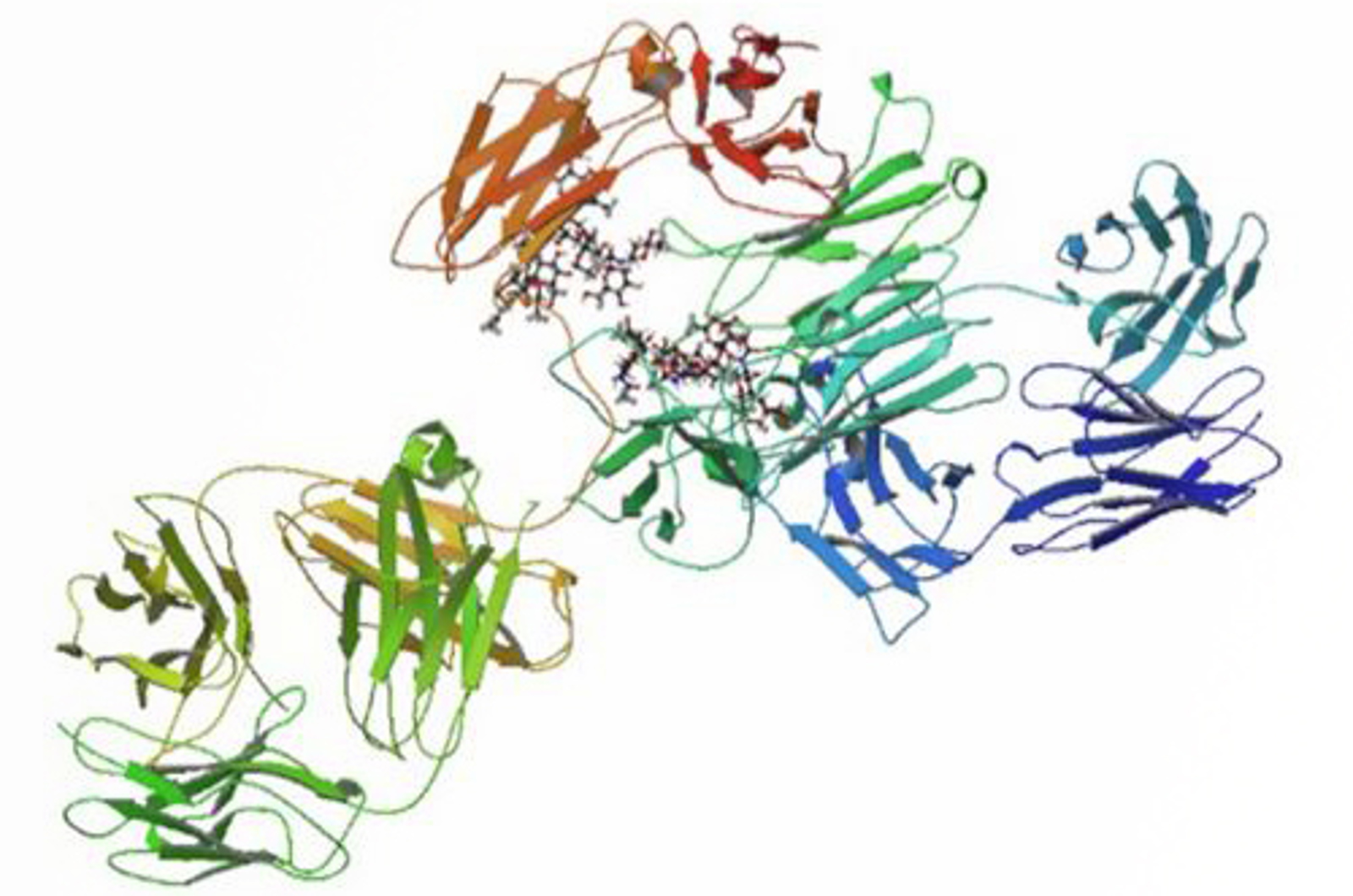 Fundamentals of Biomolecules