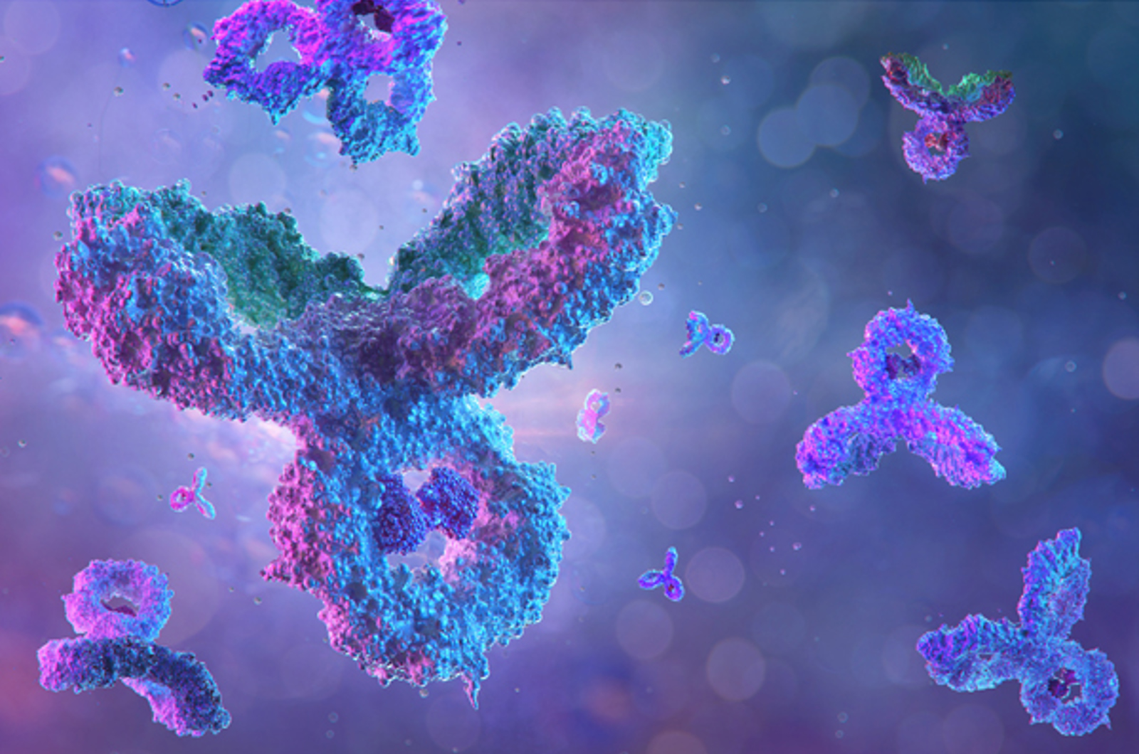 Intact and Subunit LC-MS Characterization of mAb and msAb using Advanced Protein A Columns