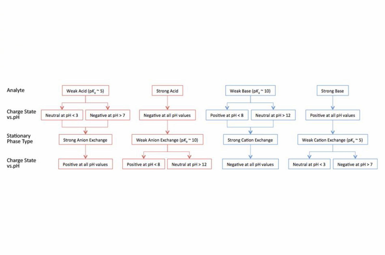 Selecting Columns and Initial Conditions for IEX and SEC Biomolecule Analysis