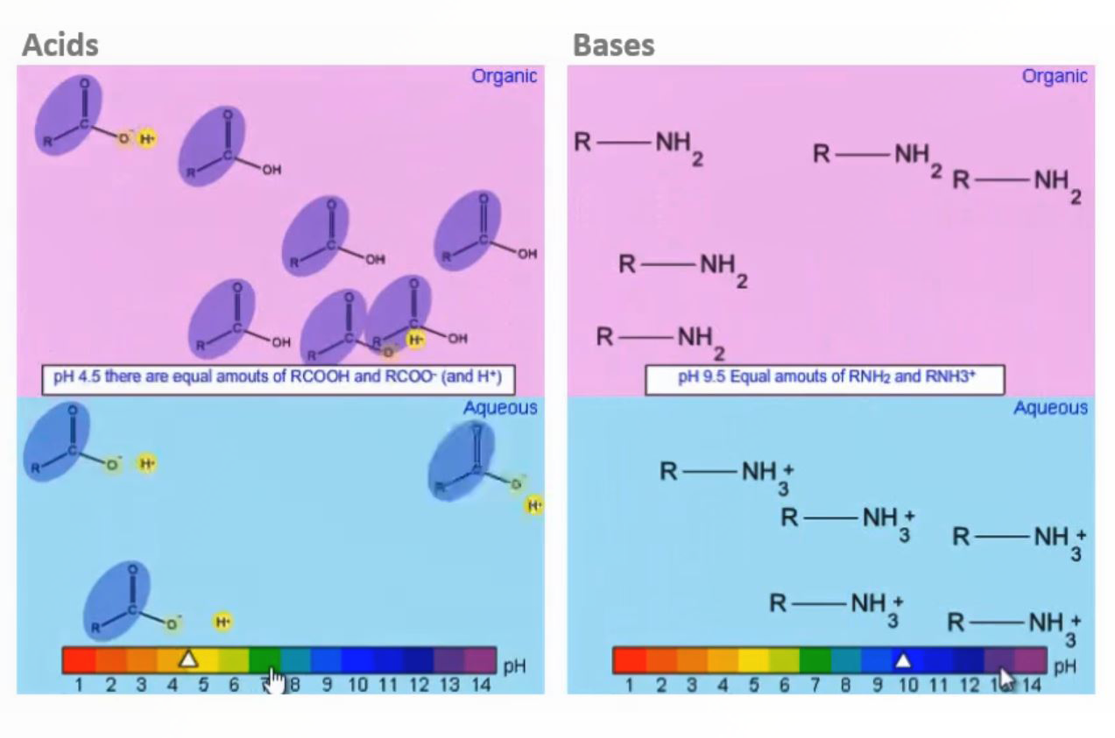 SPE - Molecular Properties: Ionic Groups