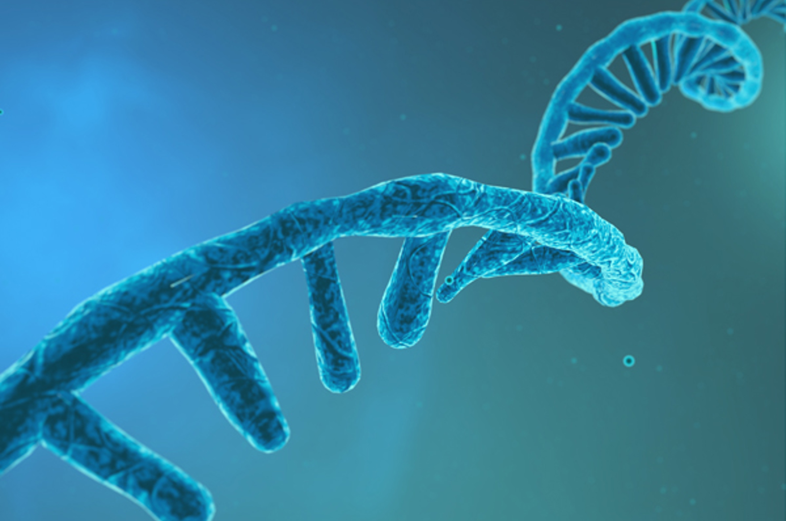 Column Selection for Improved Analytical Analysis and Preparative Purification of Oligonucleotides