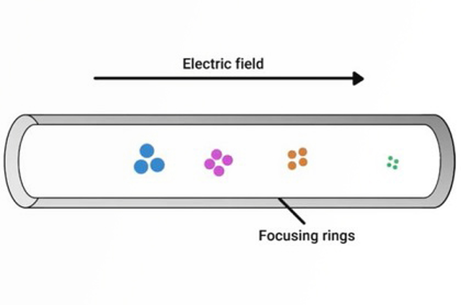 Introduction to Ion Mobility Spectrometry (IMS)