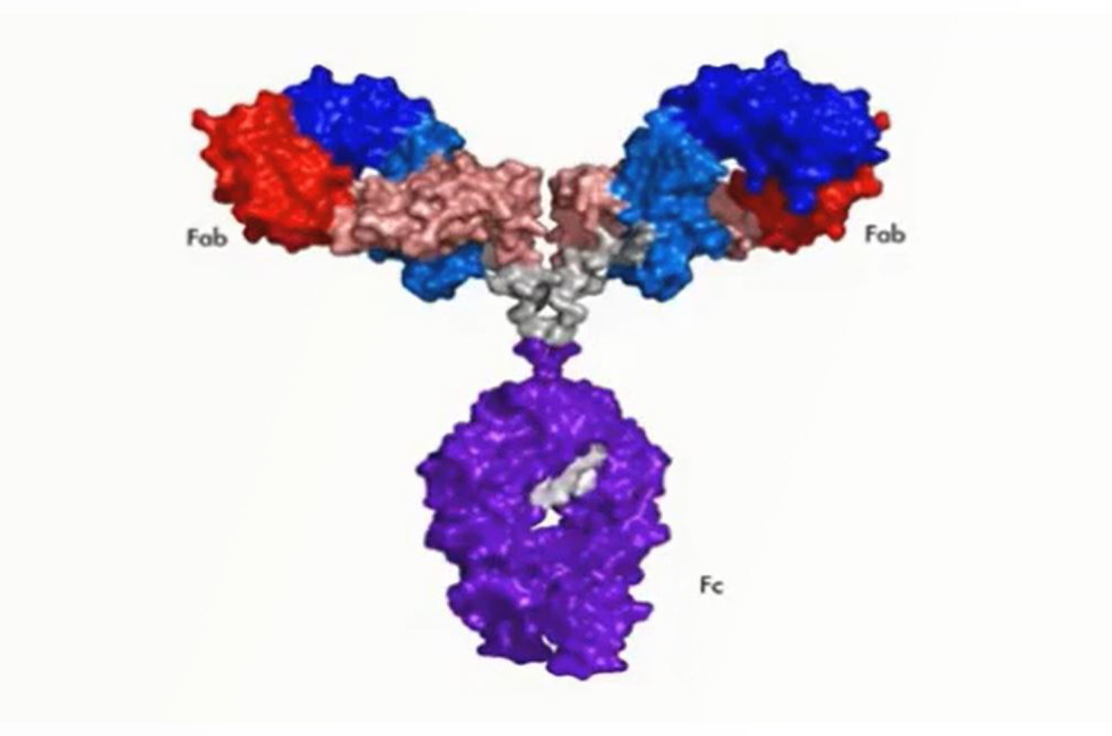 Advances in Full Characterization of Protein Biopharmaceutical Post-Translational Modifications