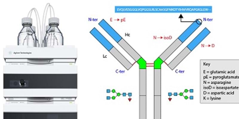 The Benefits of Dedicated HPLC Systems and Chromatography Columns for Analysis of Biomolecules