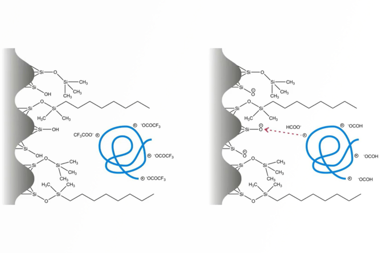 Purification and Analysis of Synthetic Peptides: The Challenges of Method Development