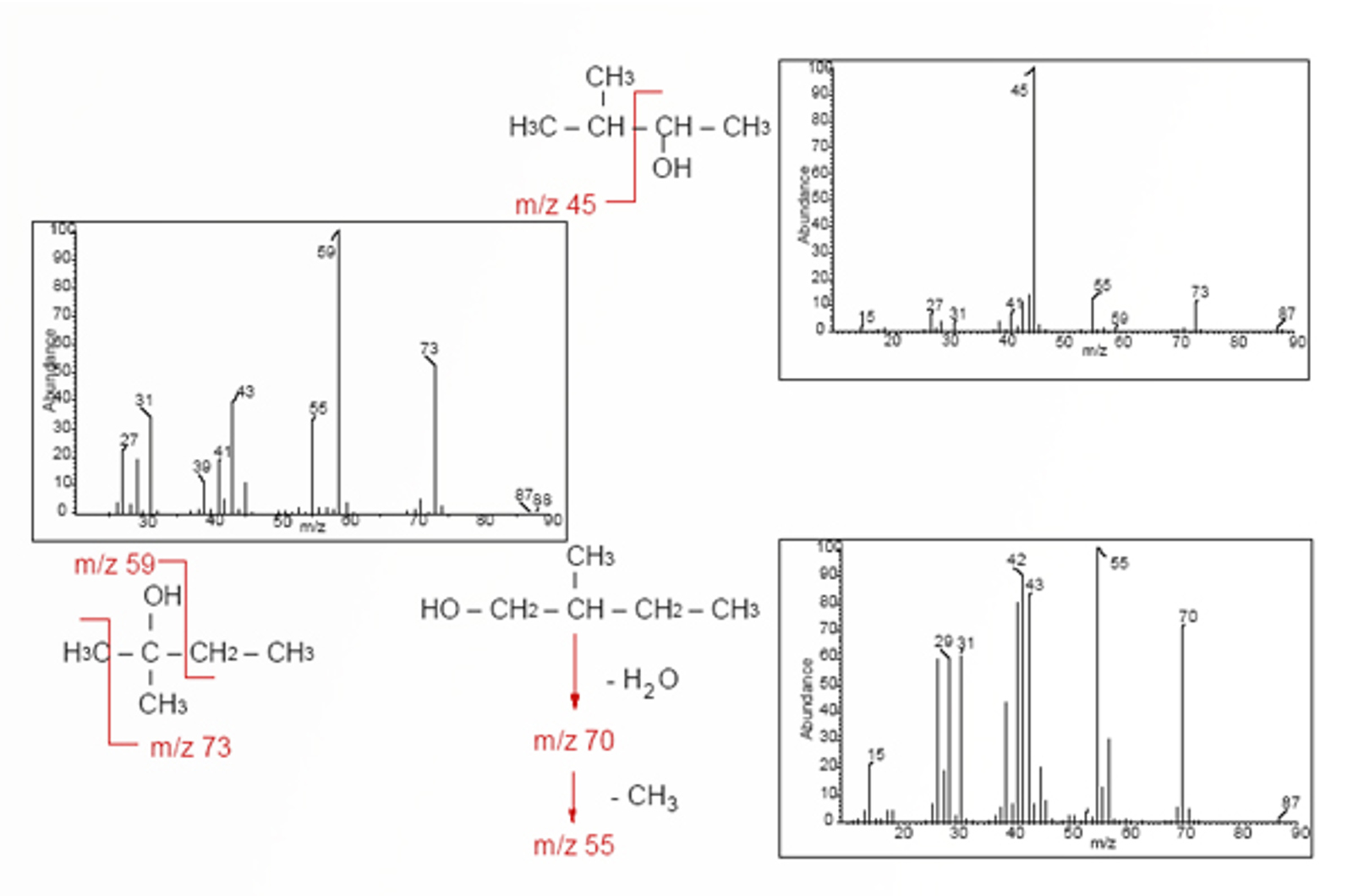 Introduction to GC-MS Fragmentation and Interpretation