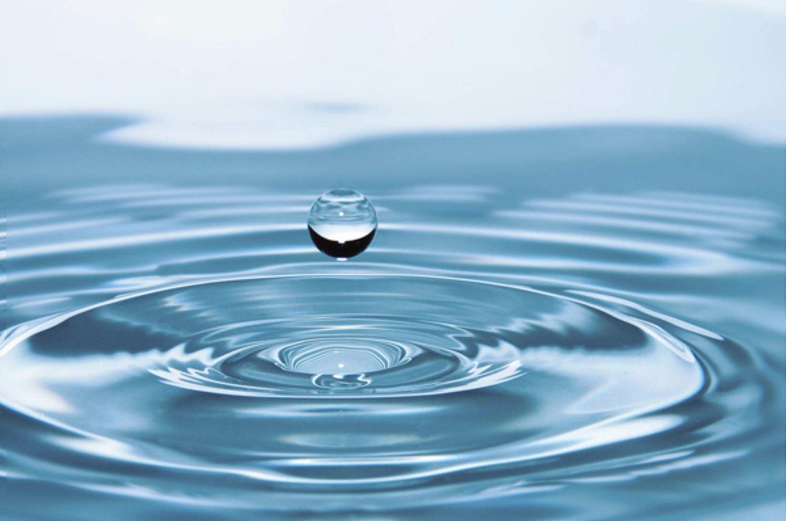 Chromatographic Analysis of PFAS: Method Development and Optimization