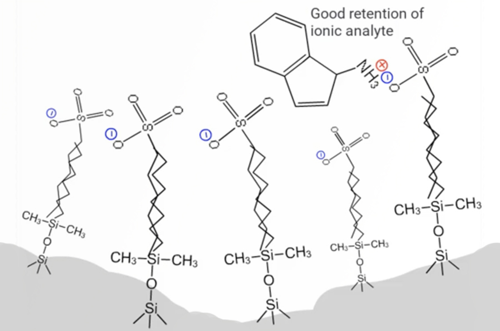 Critical Evaluation of HPLC Methods Webcast