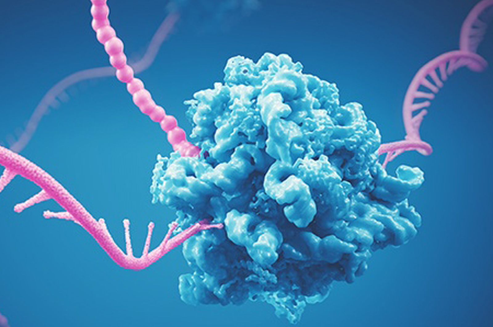 Method Development Optimization from Characterization to Purification of Oligonucleotides