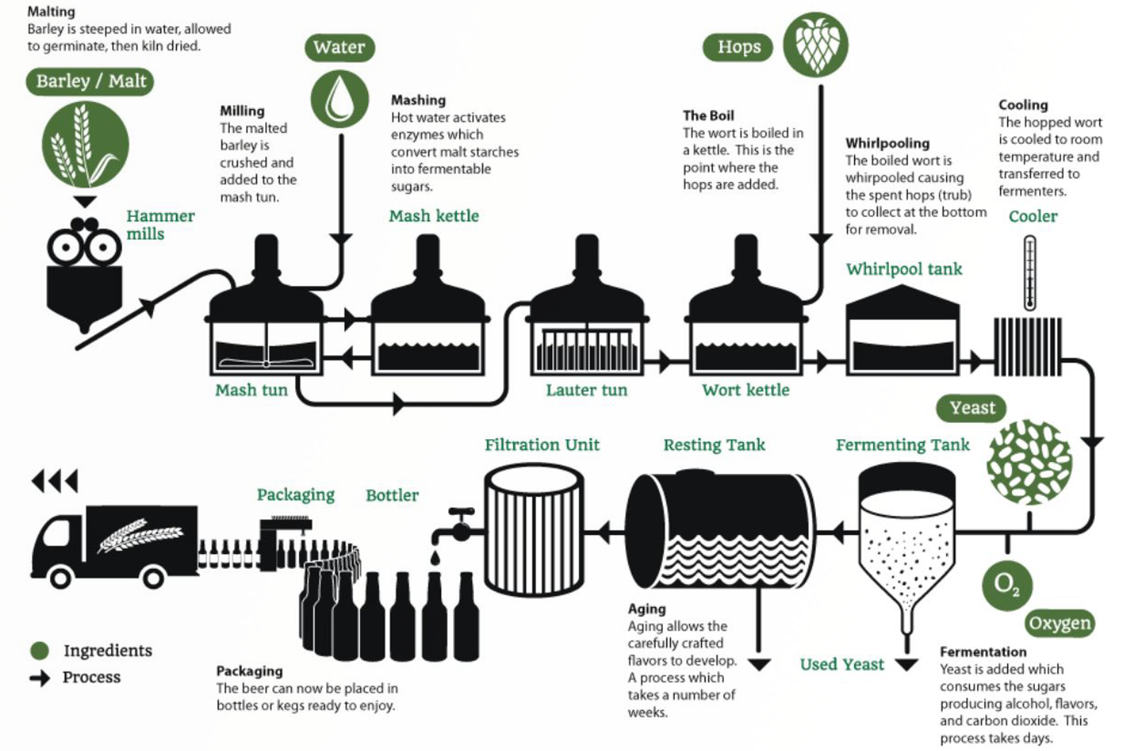 Do You Know What is in Your Beer?