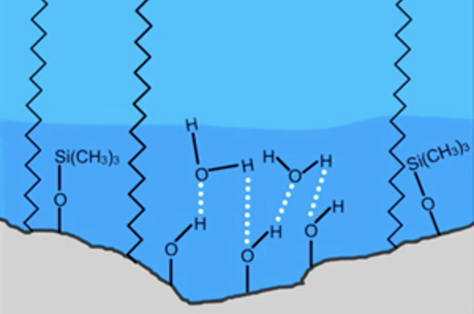 Understanding Stationary Phase Chemistry for Reversed Phase HPLC
