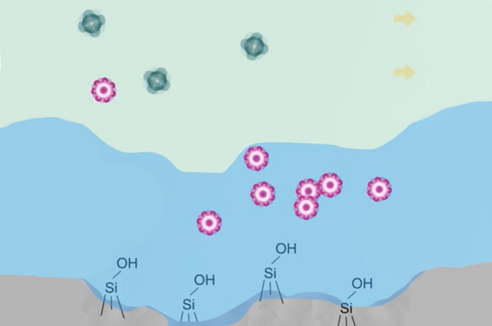 Hydrophilic Interaction Chromatography (HILIC) and Related Techniques