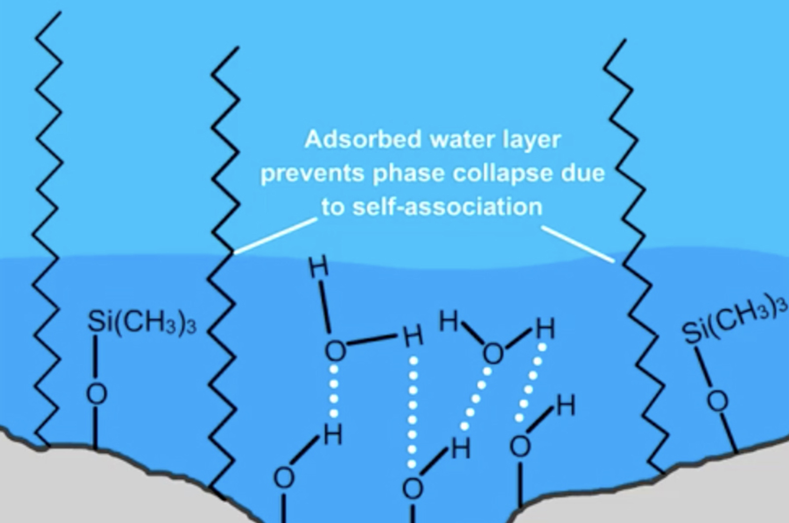 I Only Ever Need C18 for Reversed Phase Chromatography Don’t I?