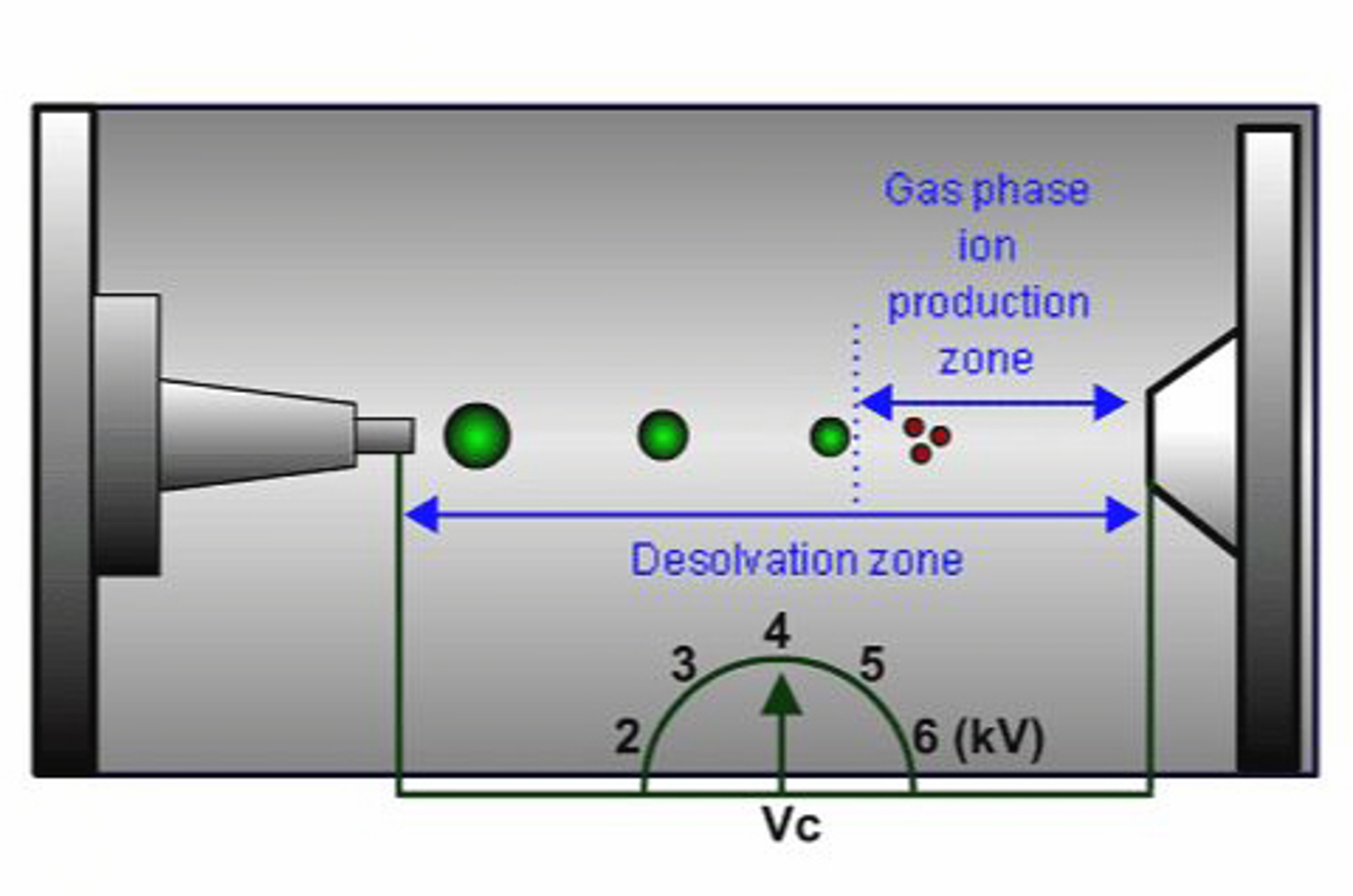 Mass Spectrometry Basics for Biomolecule Analysis