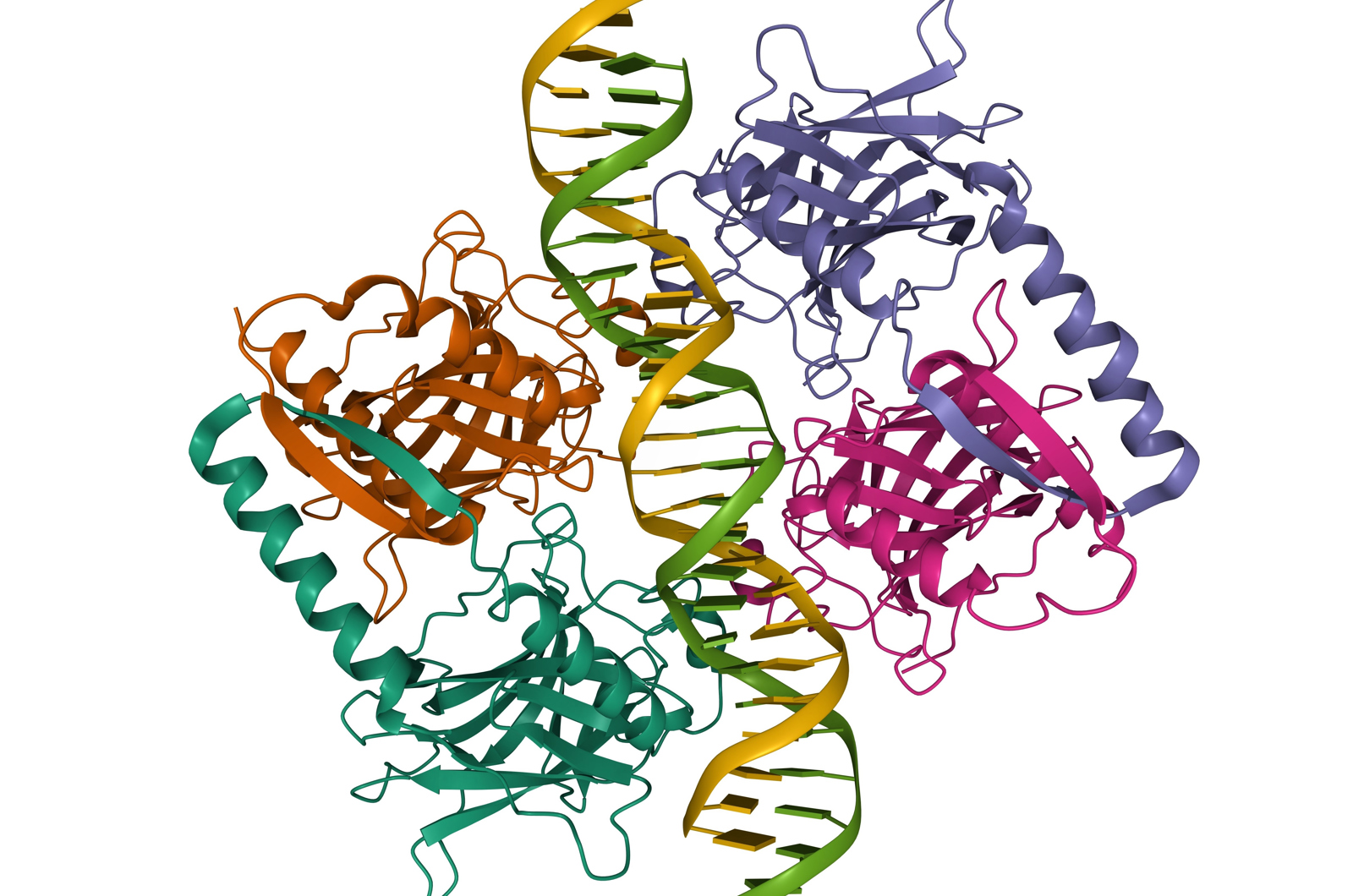 Where to Start with Biochromatography