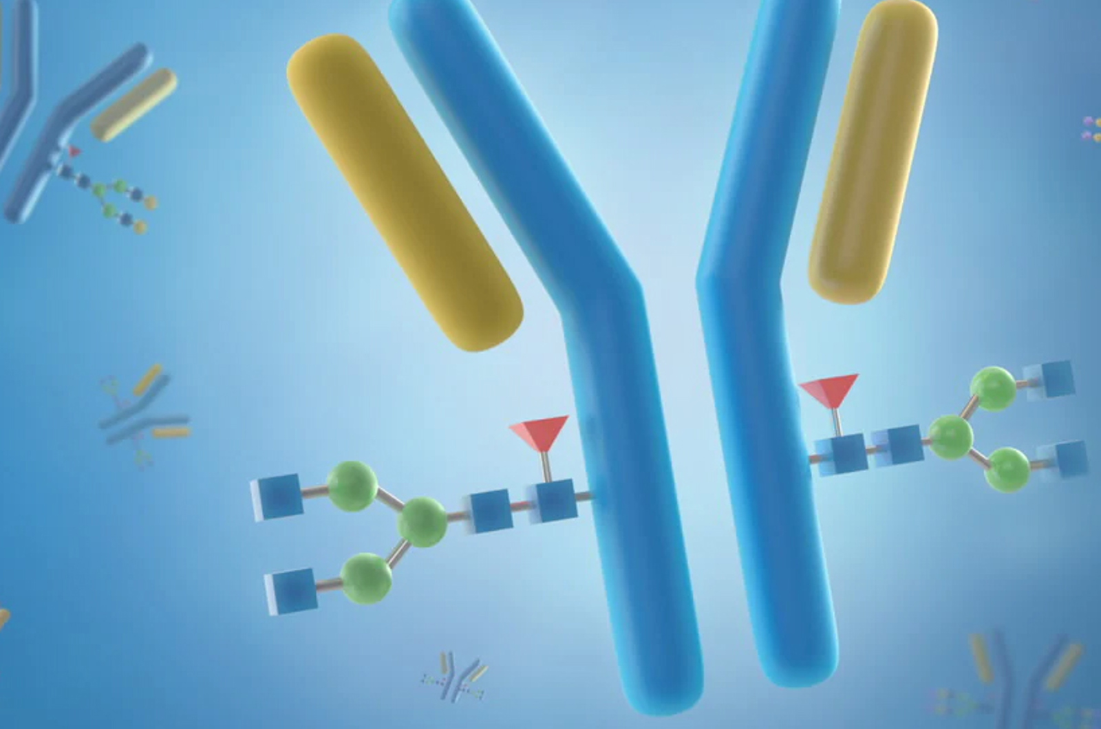 N-Glycan Separations: How HILIC Columns Affect Data Quality