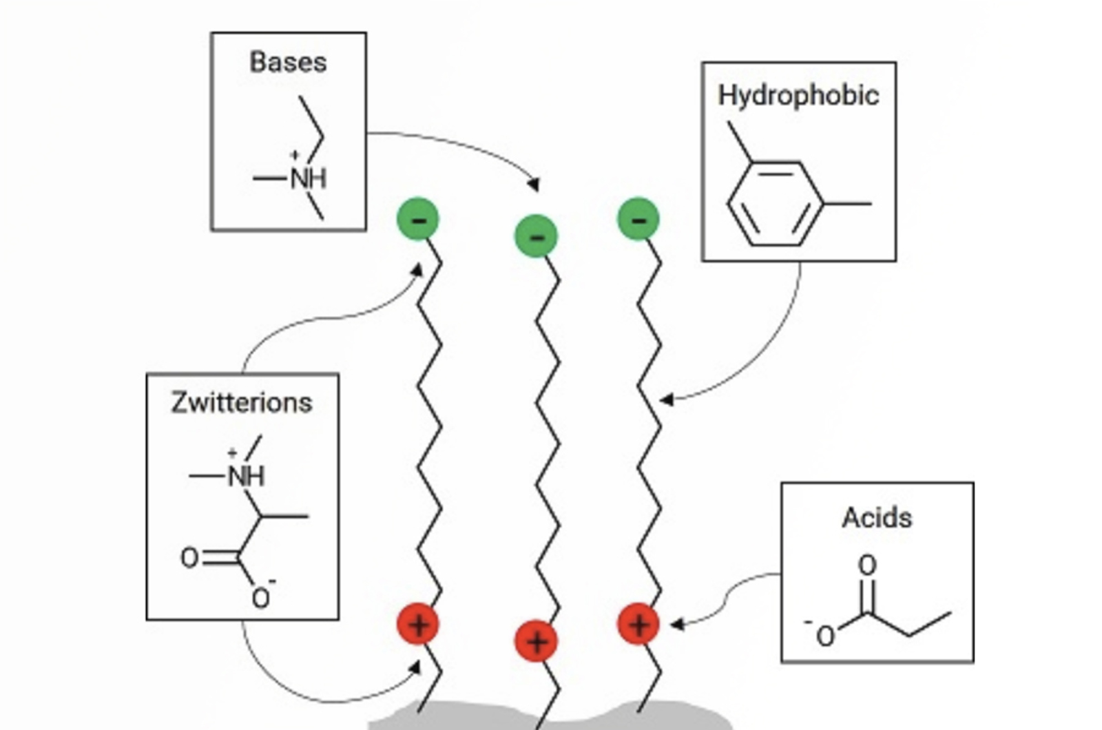 Avoiding Problems Associated With HPLC Column Overload