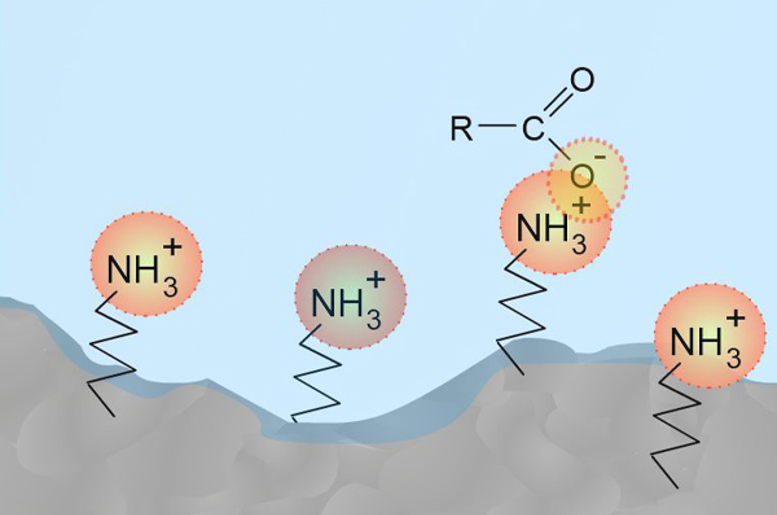 Introduction to Ion Chromatography