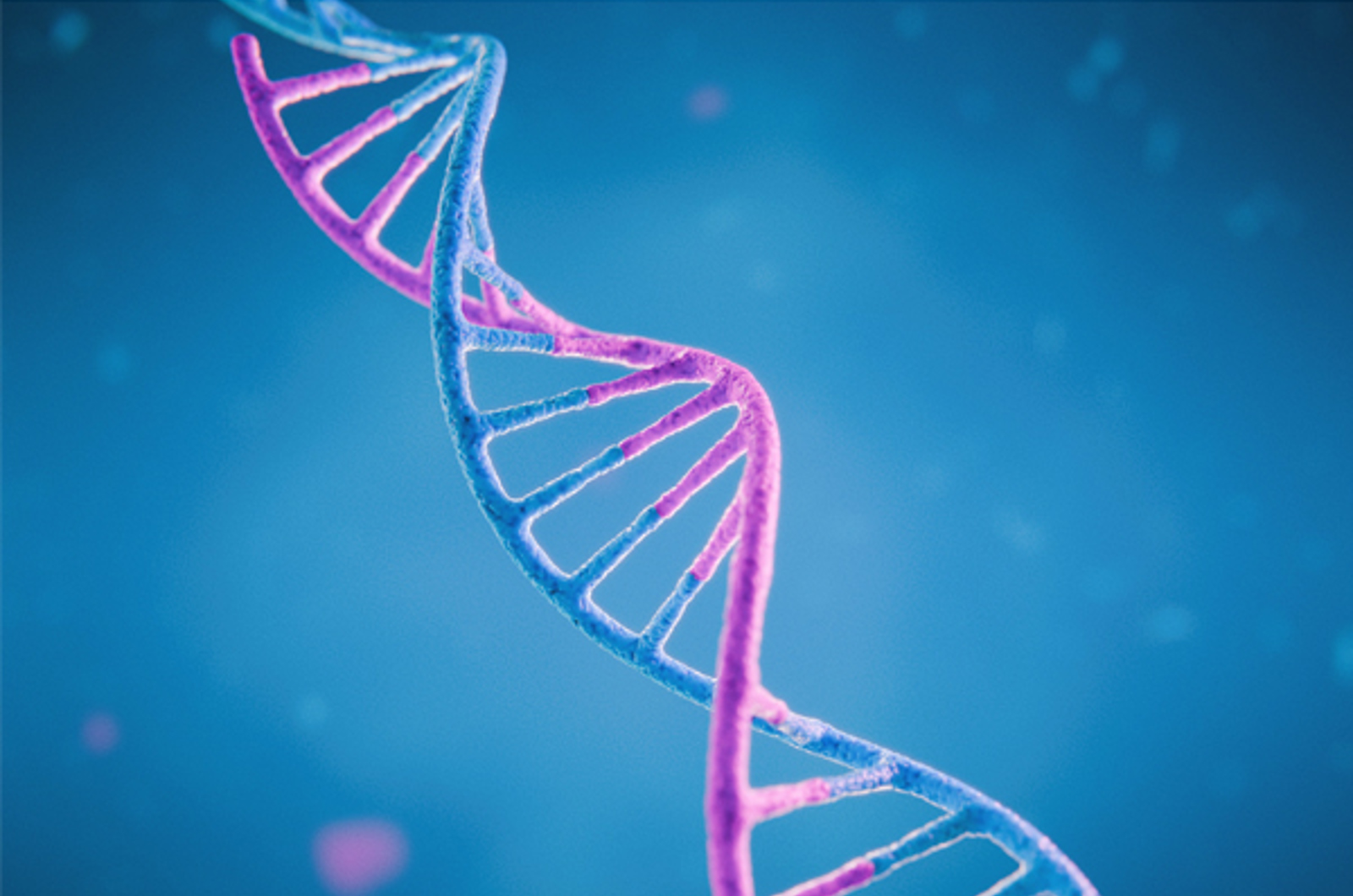 Inert Separations for Oligo LC-MS Workflows